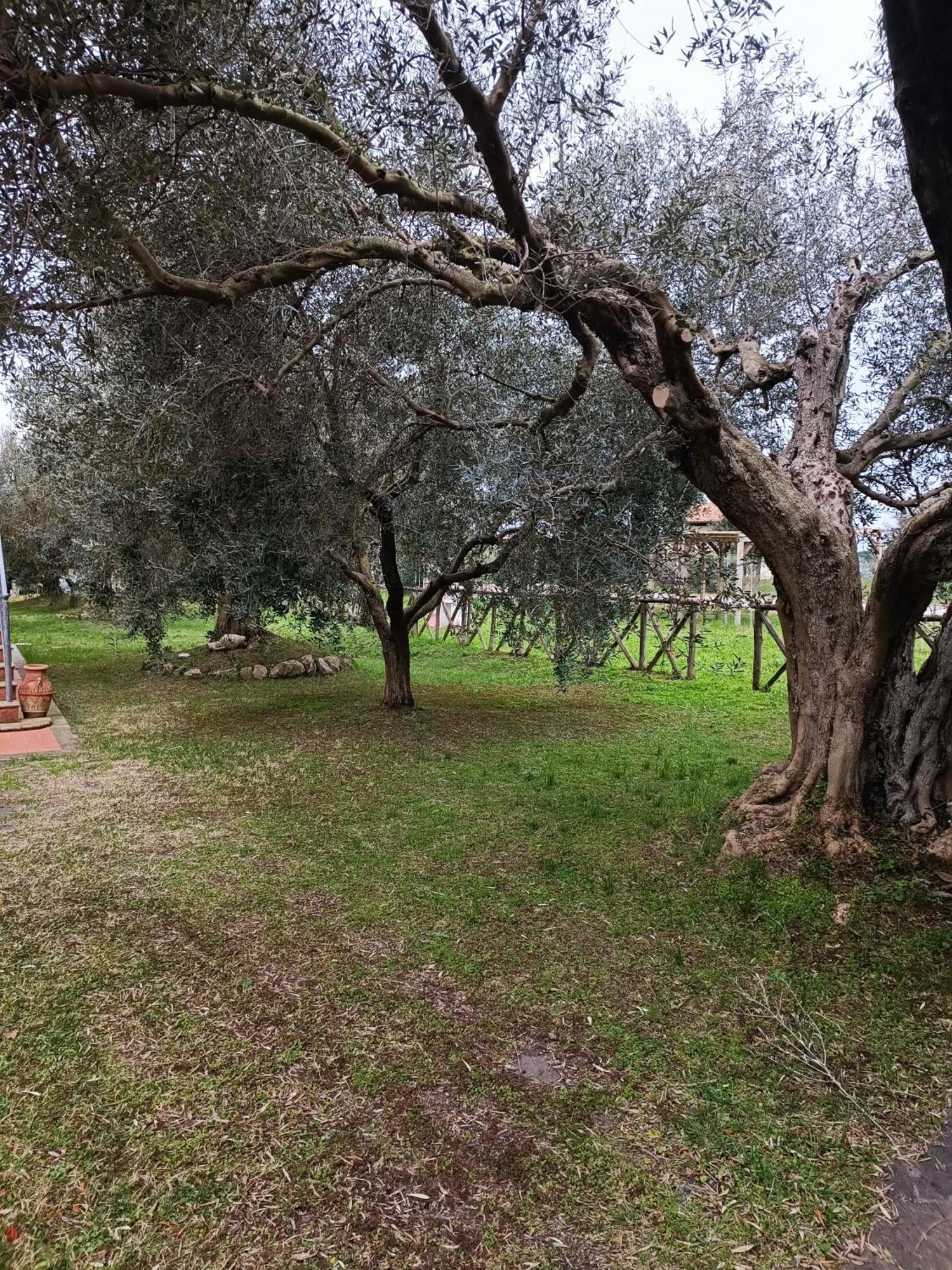 Appartamento Farfollie Pescia Romana Buitenkant foto